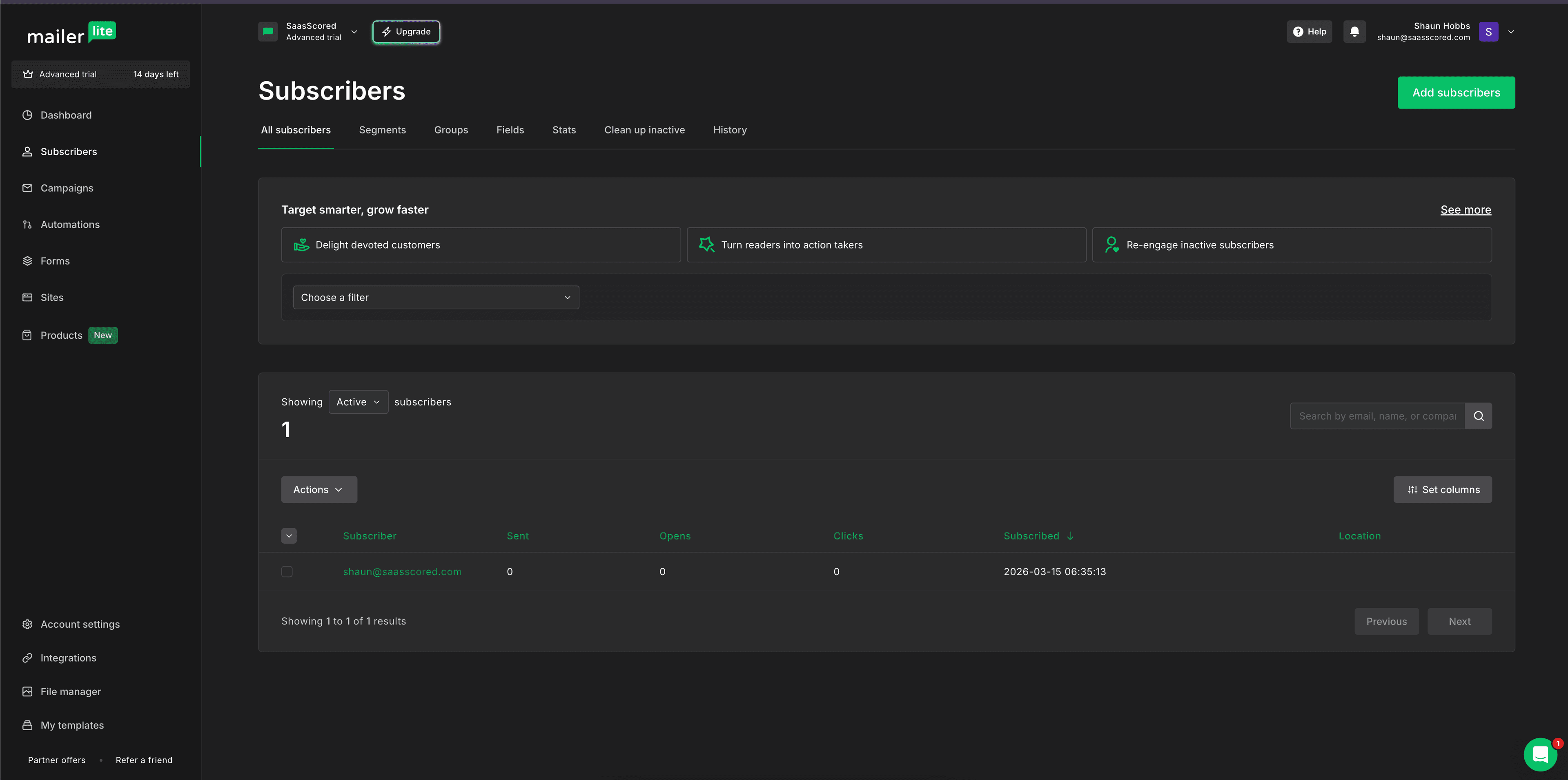 MailerLite subscriber management with filtering, segments, and engagement tracking